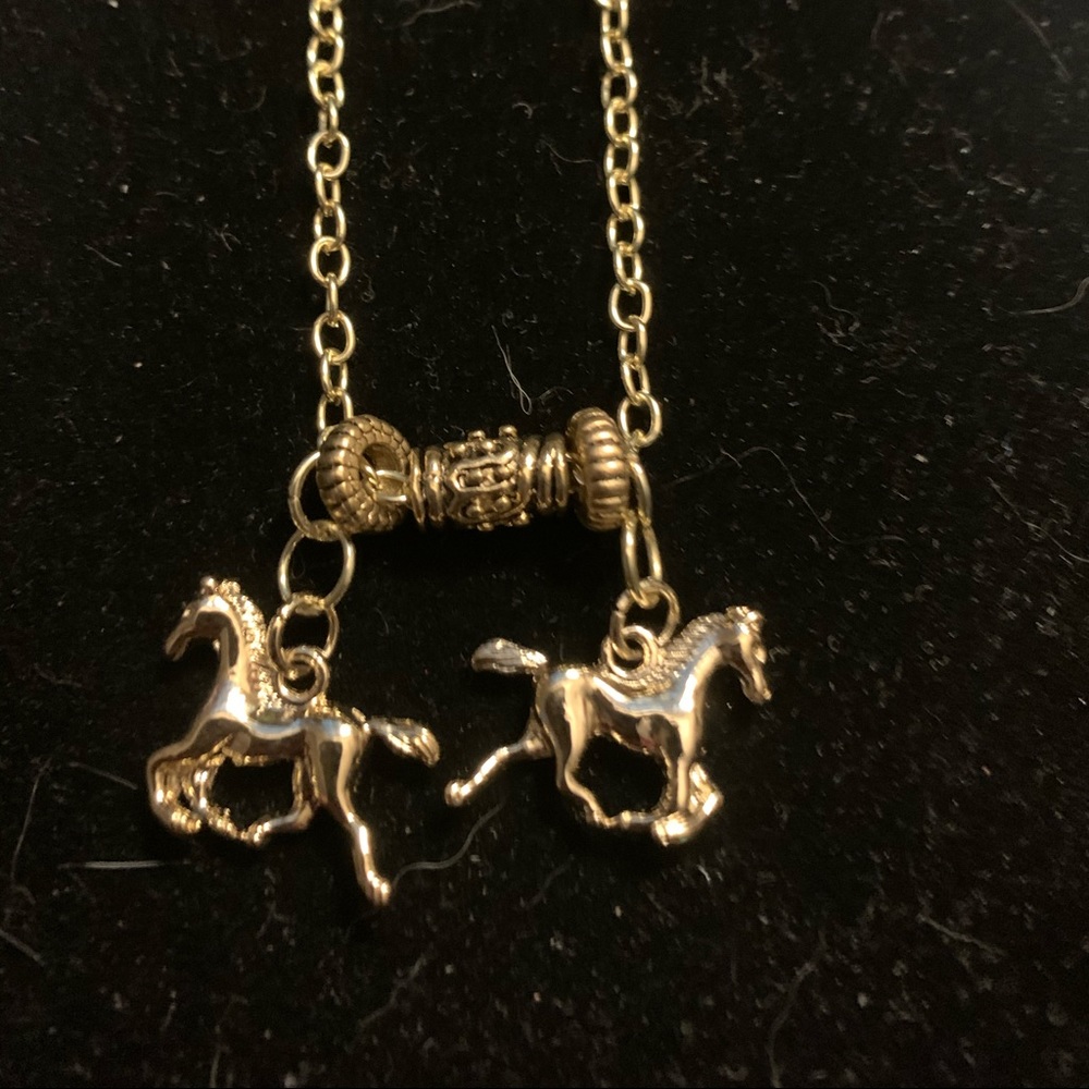 Horse lovers !!